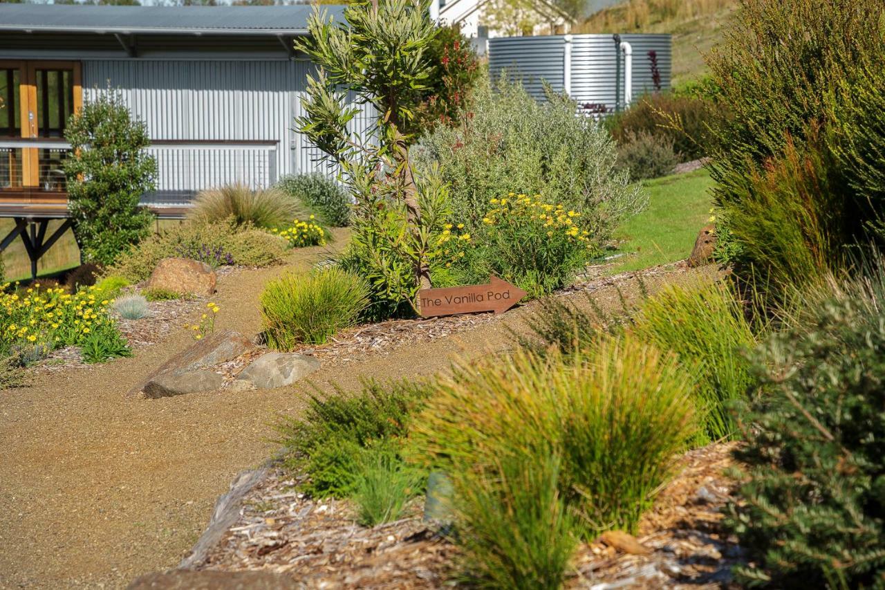 Hobart Hideaway Pods Bed & Breakfast Kingston Dış mekan fotoğraf